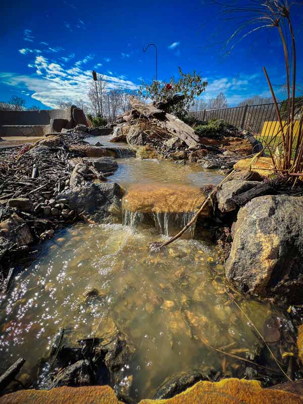Winterizing Your Water Feature